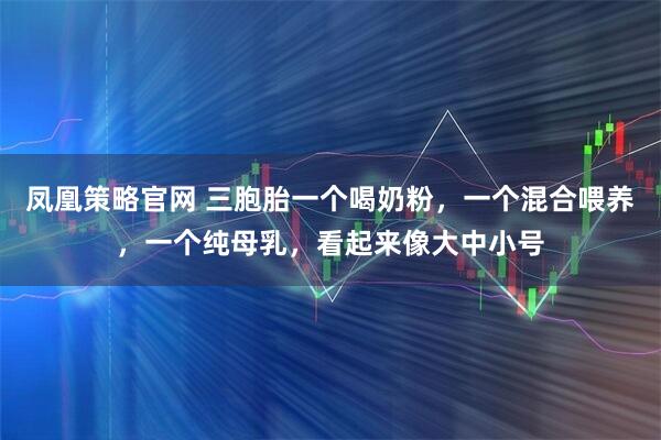 凤凰策略官网 三胞胎一个喝奶粉，一个混合喂养，一个纯母乳，看起来像大中小号