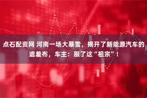 点石配资网 河南一场大暴雪，揭开了新能源汽车的遮羞布，车主：服了这“祖宗”！